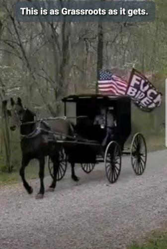 image_1642694990.575