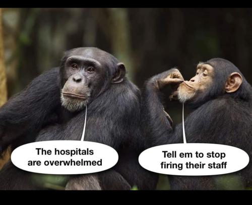 image_1641476073.777