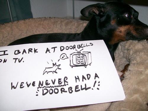 doorbells