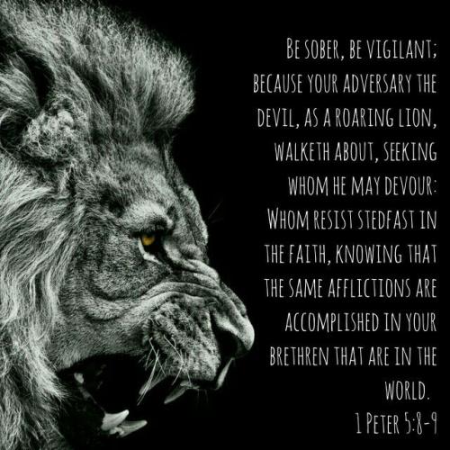 1ace8aeec6eb9acdfd3410df4652ac01--bible-app-peter-otoole