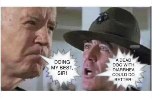 171375D5-DDBC-4DAC-BBA3-601B12C724C0