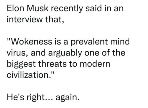 M E Musk