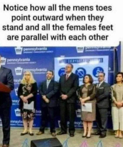 209cb74787733292d92250d26f3e39ba_500x0