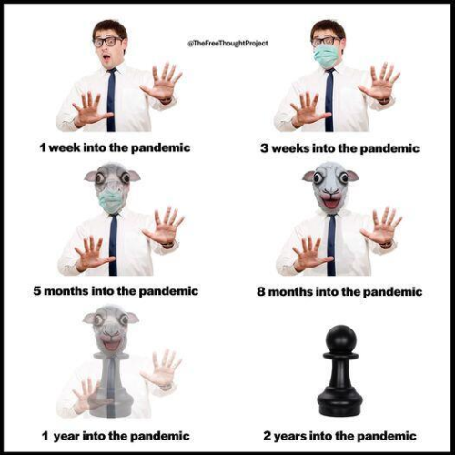 img - 2022-01-16T152559.960