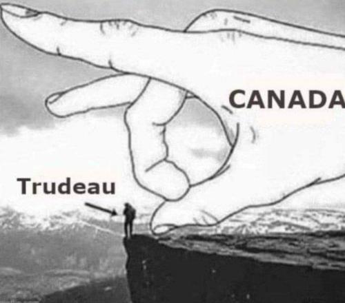 701179cd-ef2b-4527-a017-fdeb4df23996d