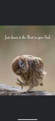 166F12C8-1FD7-412E-BB9D-AE4178742210