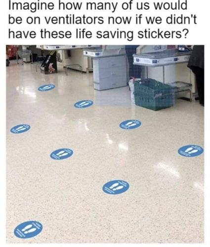 IMG_20220131_135007_404