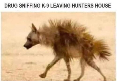 269849110_465631048292731_6362895716778203619_n