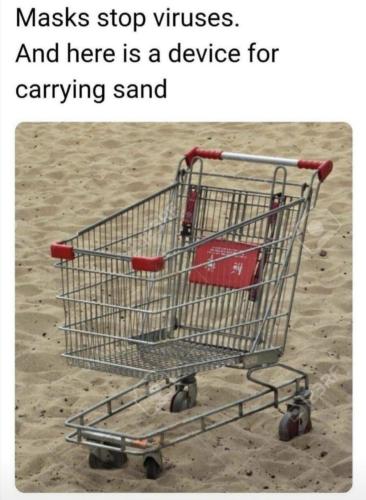 CARRYING SAND