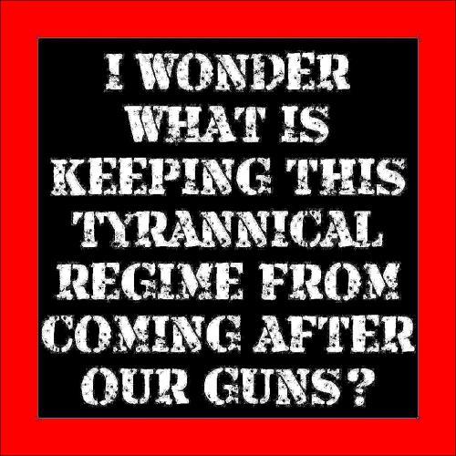 ZomboMeme 18012022183848