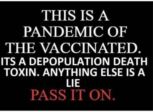 Screenshot_20220108-195540_DuckDuckGo