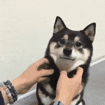 C877F1C1-E65F-4550-9AEB-782B77079B01