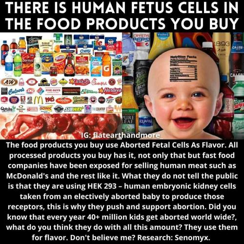 HUMAN FETUS
