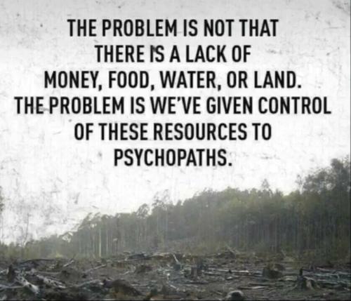 THE PROBLEM IS NOT
