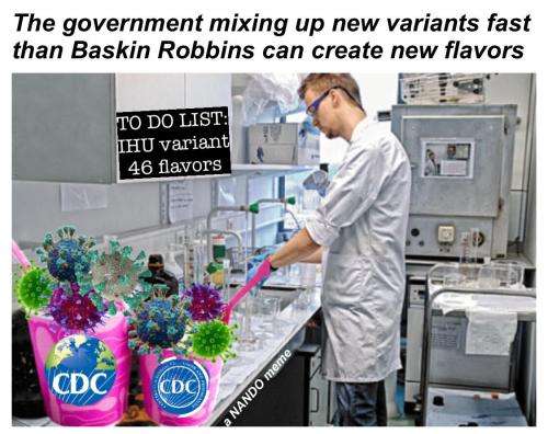 d13