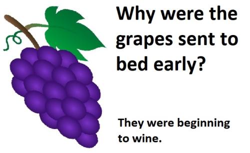 20220112 grapes beginning to wine