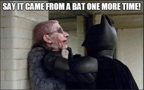 image_1642695435.293