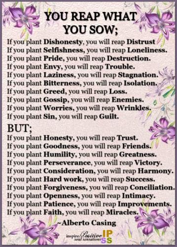 Reap what you sow