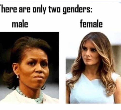 169FE2CB-3BF8-4C42-937A-4AA7E25C46CE