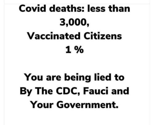 Screenshot_20220111-061808_DuckDuckGo