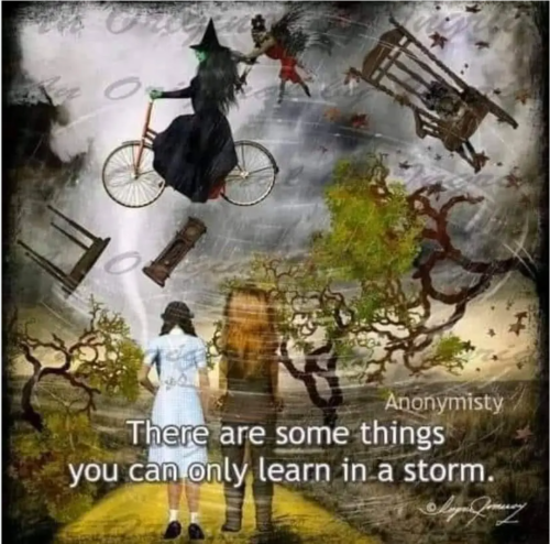 Screenshot_20220128-231900