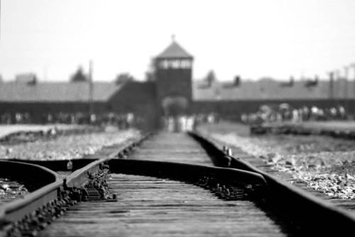 birkenau_402324_960_720