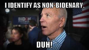 i identify as non-bidenary