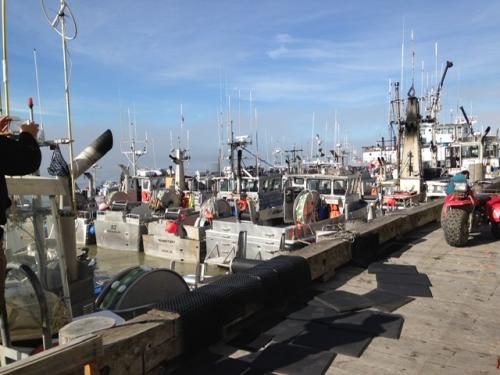 52ABD659-496D-4CBA-A6AA-7D248C4C150D