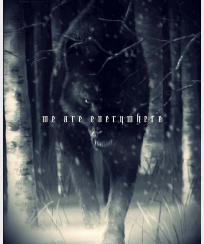 8F1D30C3-5A17-4815-A6BD-3AF923EC5503