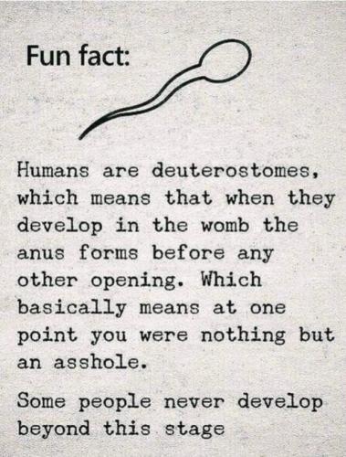 M anus