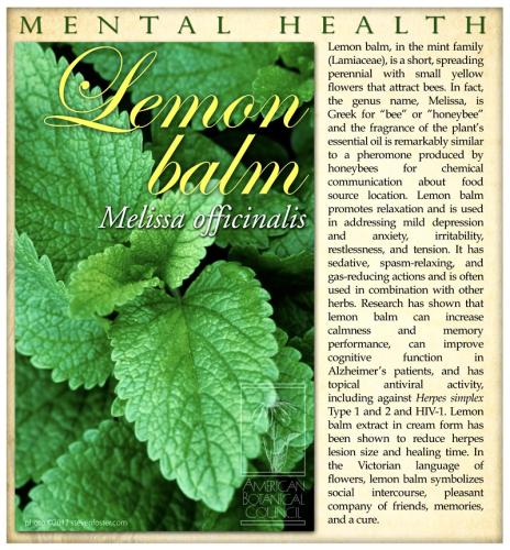 C7C73A9B-4ED3-4517-BFA3-B832F25C633C