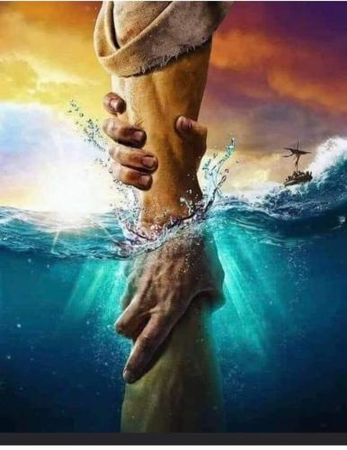 FB_IMG_1643482222632