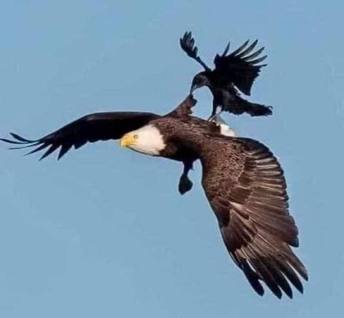 IMG_20220108_160709_486