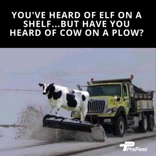 2E686119-66E5-480E-870E-64FAE5599802