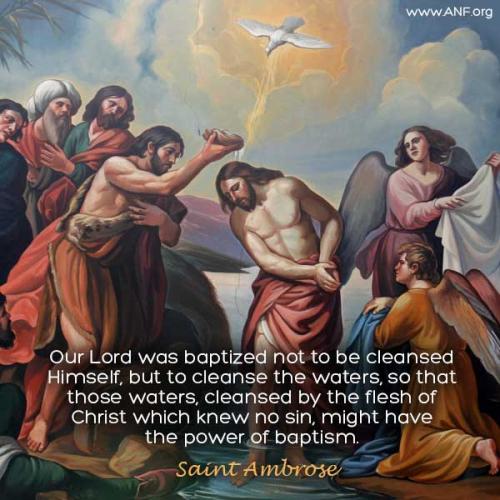 803880E1-AD88-41A4-B31D-95D435BB33B5