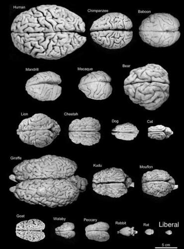 654FB21D-7C0E-4D39-A137-D470A63EAB85