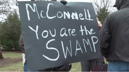 You Are The Swamp