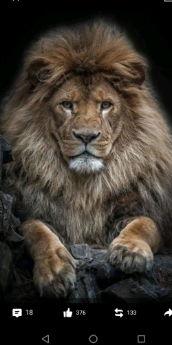 Screenshot_20220118-213238