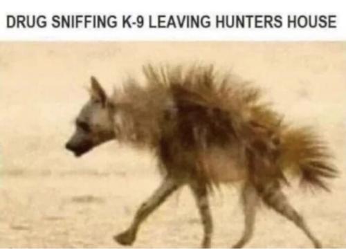 BE3BDEE0-5B77-48E3-AD8F-352286AFB0B3.jpeg