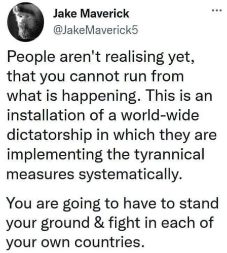 FB_IMG_1643482028033