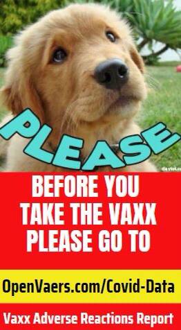 IMG_20220101_134354_229