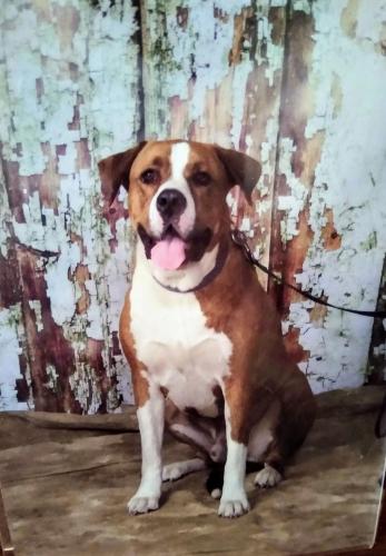 IMG_20190802_102015753