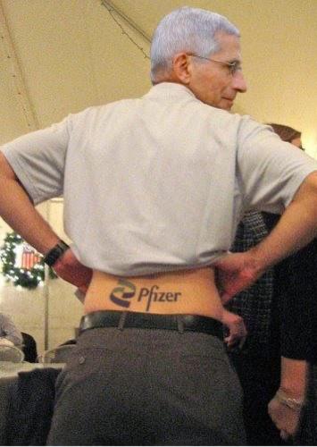 Tumblr_l_18658677766370