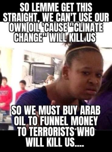 foreign oil dependence
