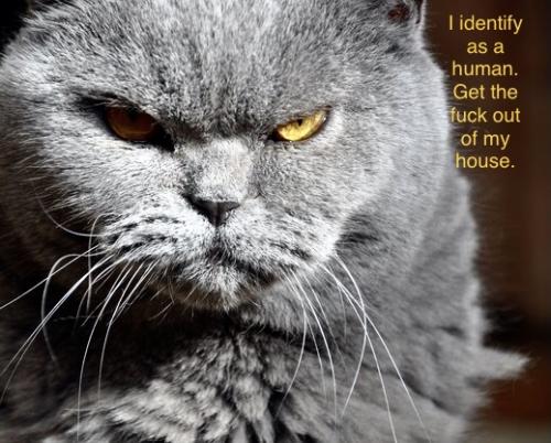 90BE8043-7EC6-4638-8F21-F1421AEAF05C