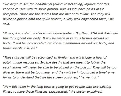 Spike Protein - blood vessel injuries