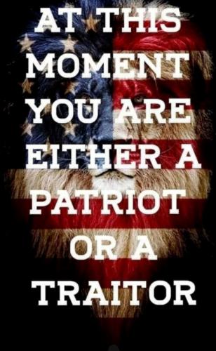M Patriot