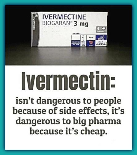 Ivermectin is a safe drug