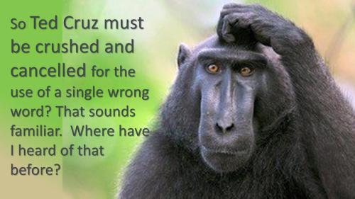 ____woke cancel cruz