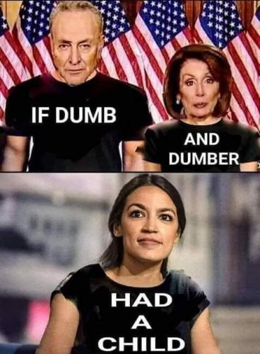 IF DUMB AND DUMBER